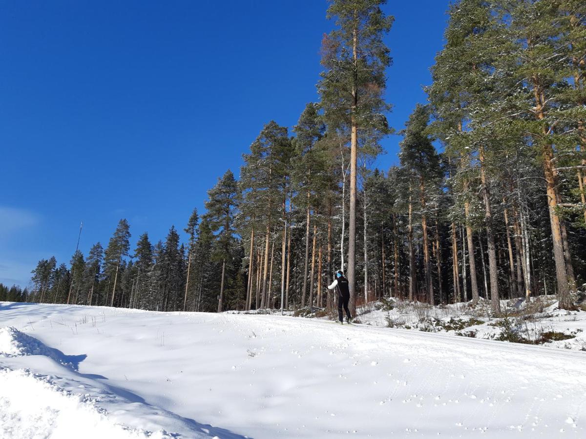 Skelleftea Camping Dış mekan fotoğraf